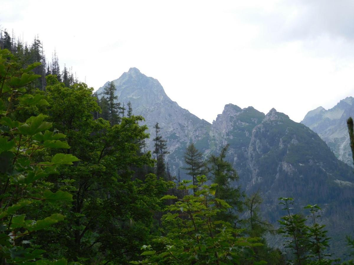 Apartamento High Tatras - Patris 27 Tatranská Štrba Exterior foto